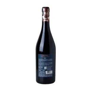 Domìni Veneti Appassimento IGT 0,75l - 1ks