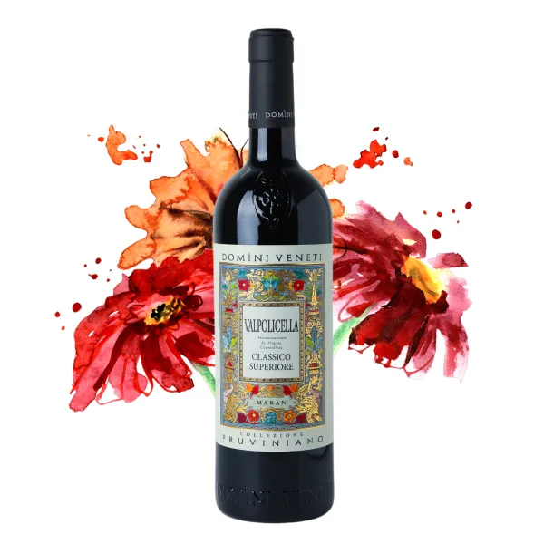 Domìni Veneti Pruviniano Valpolicella Classico Superiore DOC 0,75l - 1ks