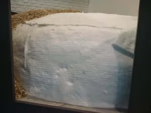 Valoriani pec Maxi GR