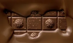 SPOTREBA Ferrero Rocher Tmavá Čokoláda 55% 90g thumbnail-2