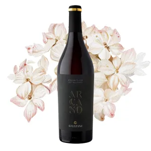 Tenuta Giustini Arcano Primitivo Salento IGT 0,75l