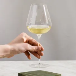 Corvezzo Sauvignon Blanc Bio 0,75l thumbnail-2