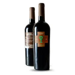 Schola Sarmenti  Critéra Primitivo Salento IGT 0,75l thumbnail-2