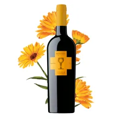 Schola Sarmenti Roccamora Negroamaro Salento Rosso DOC 0,75l thumbnail-4