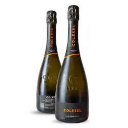 Colesel Valdobbiadene Superiore Di Cartizze Brut DOCG 0,75l thumbnail-3