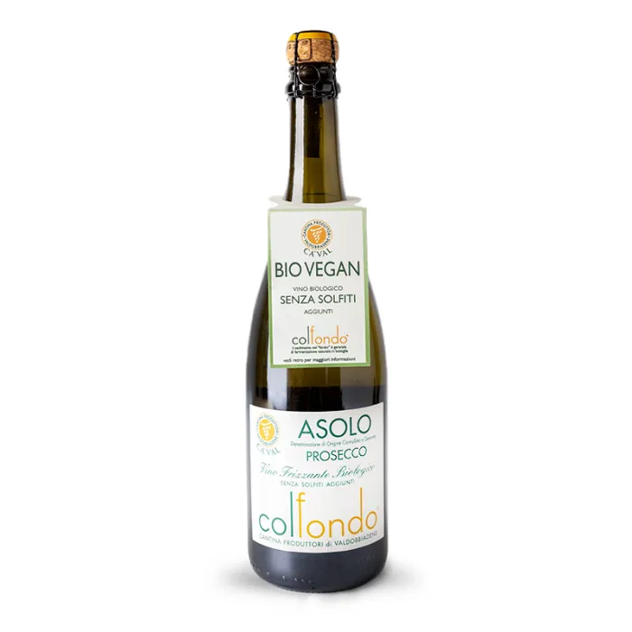 Ca'Val Prosecco Asolo Col Fondo Bio Vegan bez Siričitanov DOCG 0,75l