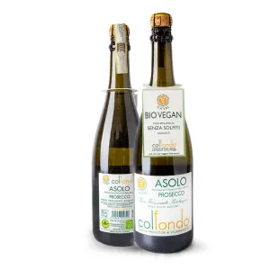 Ca'Val Prosecco Asolo Col Fondo Bio Vegan bez Siričitanov DOCG 0,75l