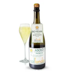 Ca'Val Prosecco Asolo Col Fondo Bio Vegan bez Siričitanov DOCG 0,75l thumbnail-3