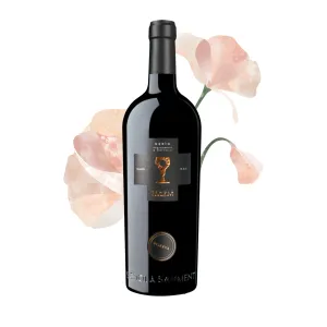 Schola Sarmenti Nerìo Nardò Riserva DOC 0,75l