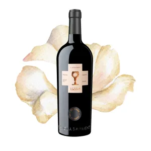 Schola Sarmenti Cubardi Primitivo Salento IGT 0,75l