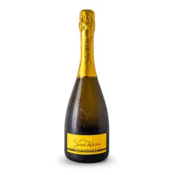 BiancaVigna Conegliano Valdobbiadene Prosecco Millesimato Extra Dry DOCG 0,75l thumbnail-1