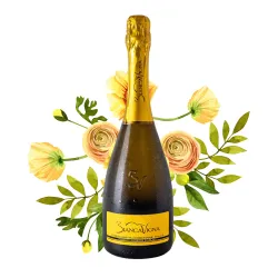 BiancaVigna Conegliano Valdobbiadene Prosecco Millesimato Extra Dry DOCG 0,75l thumbnail-4