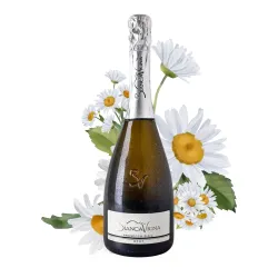 BiancaVigna Prosecco Brut DOC 0,75l thumbnail-4
