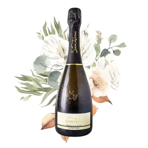 BiancaVigna Prosecco Extra Dry DOC 0,75l