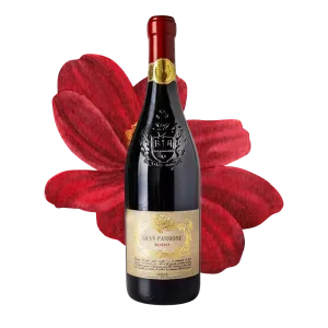 Gran Passione Veneto IGT Rosso 0,75l