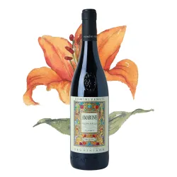 Domìni Veneti Pruviniano Amarone Della Valpolicella Classico DOCG 0,75l thumbnail-1