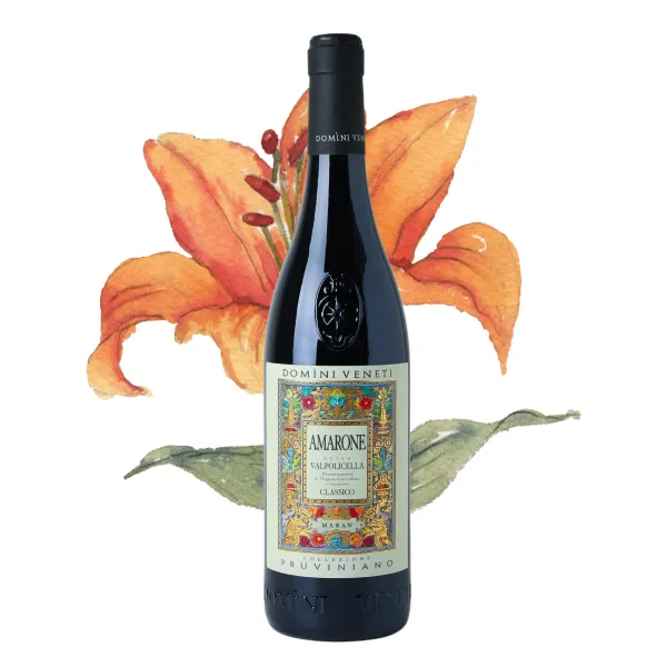 Domìni Veneti Pruviniano Amarone Della Valpolicella Classico DOCG 0,75l