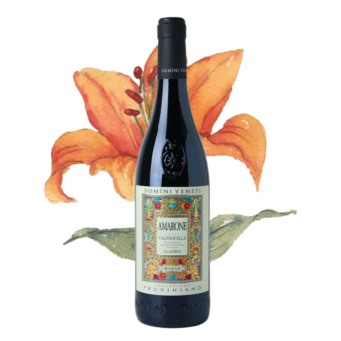 Domìni Veneti Pruviniano Amarone Della Valpolicella Classico DOCG 0,75l