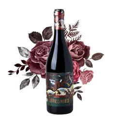 Domìni Veneti Appassimento IGT 0,75l thumbnail-1