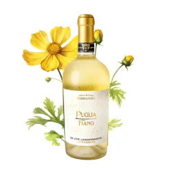 Barbanera  Appassite Puglia Fiano IGT 0,75l thumbnail-4