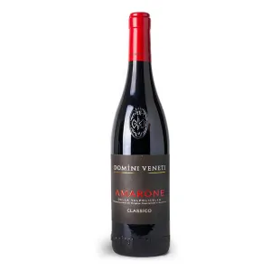 Domini Veneti Amarone Classico DOCG 0,75l