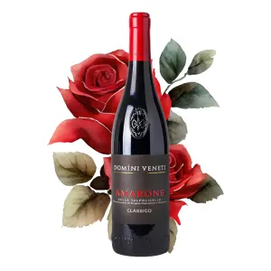 Domini Veneti Amarone Classico DOCG 0,75l