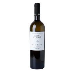 Albino Armani Corvara Valdadige Pinot Grigio DOC 0,75l thumbnail-1