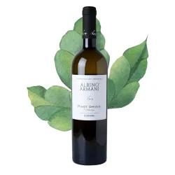Albino Armani Corvara Valdadige Pinot Grigio DOC 0,75l thumbnail-3