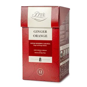 Caffé Diemme DTÉ Ginger orange čaj zo zázvorom a pomarančovou kôrou 48g