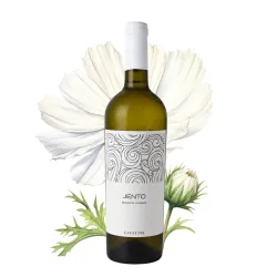 Tenuta Giustini Jento Puglia Malvasia Frizzante IGT 0,75l thumbnail-3