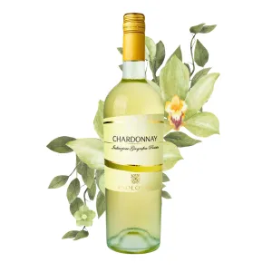 Paololeo Chardonnay Salento IGP 0,75l