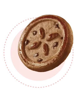 Galbusera Frollini s kakaom a kúskami čokolády bez lepku a laktózy 220g thumbnail-3