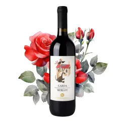 Cantina di Custoza Garda Merlot DOC 0,75l thumbnail-4