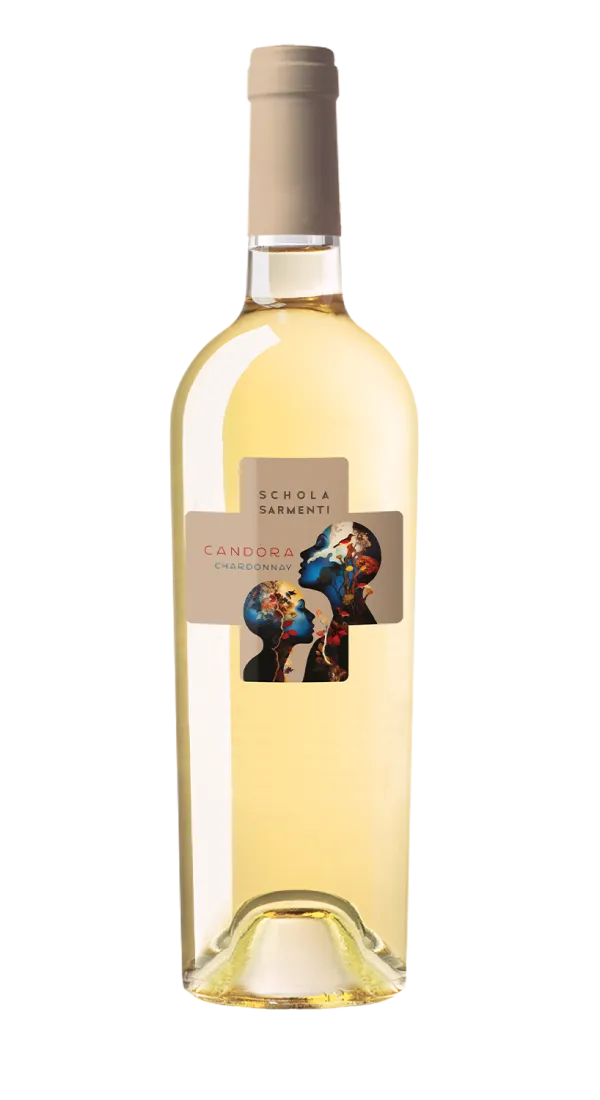 Schola Sarmenti Candóra Chardonnay Salento IGT 0,75l