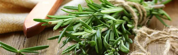 Drogheria rozmarín sušený 15g