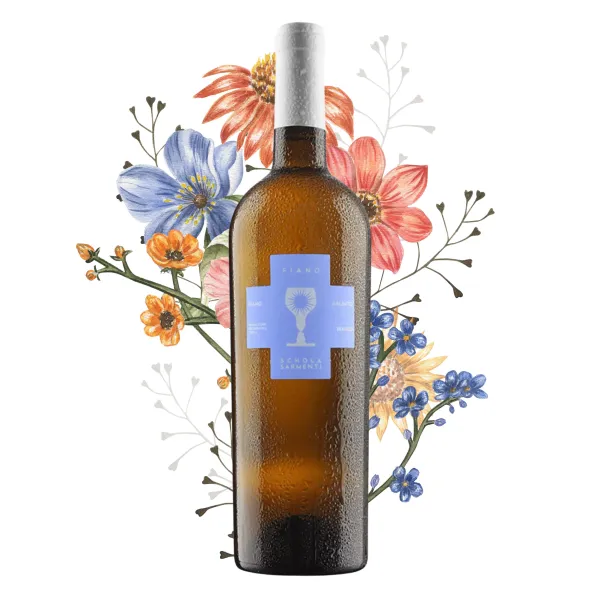 Schola Sarmenti Fiano Salento IGT 0,75l