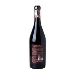 Domìni Veneti Marco Polo Corvina Verona IGT 0,75l thumbnail-3