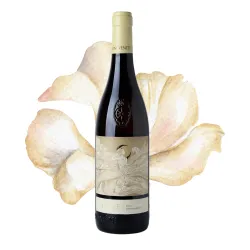 Domìni Veneti Coste Soave DOC 0,75l thumbnail-2