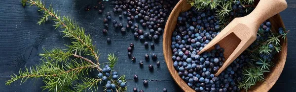 Drogheria borievka celá 22g