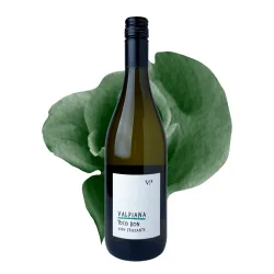 Valpiana Toco Bon vino frizante 0,75l thumbnail-1