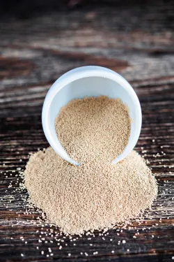 Caputo Lievito Secco sušené droždie 500g thumbnail-3