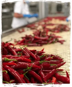 Delizie di Calabria celé pikantné kalábrijské chilli papričky 280g thumbnail-2