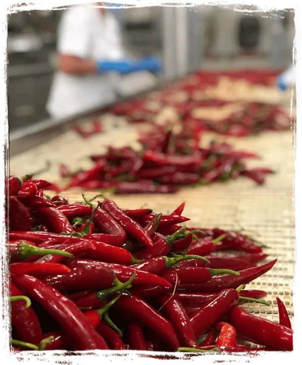 Delizie di Calabria celé pikantné kalábrijské chilli papričky 280g