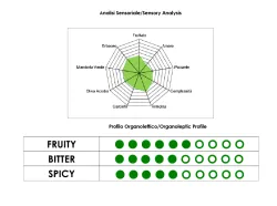 Guglielmi Puglia IGP Bio extra panenský olivový olej 0,5l thumbnail-6