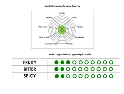 Guglielmi Leggero extra panenský olivový olej 0,25l thumbnail-6
