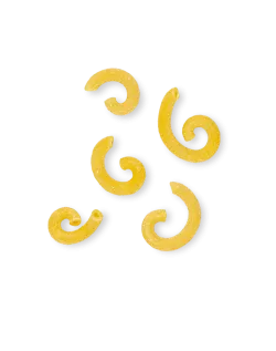 La Pasta di Camerino vaječné cestoviny Gramigna 250g thumbnail-2