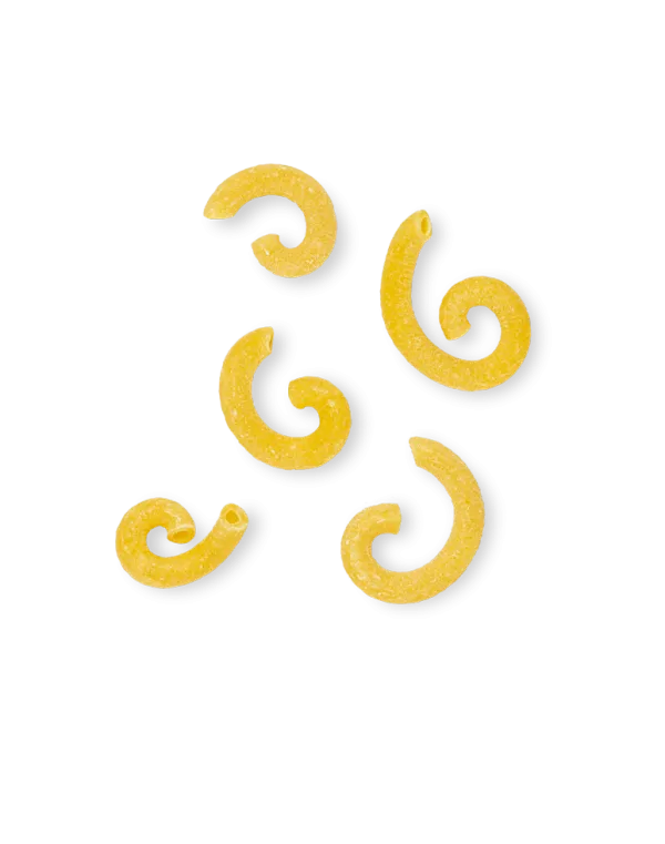 La Pasta di Camerino vaječné cestoviny Gramigna 250g