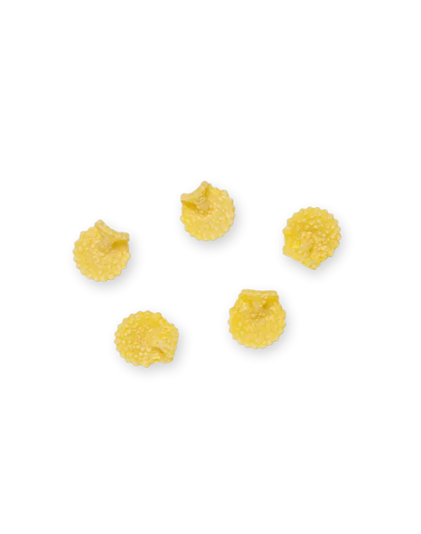 La Pasta di Camerino vaječné cestoviny Funghetti 250g