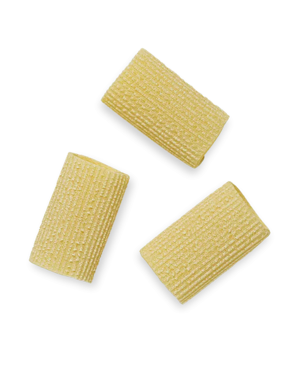 La Pasta di Camerino Paccheri Rigati 500g