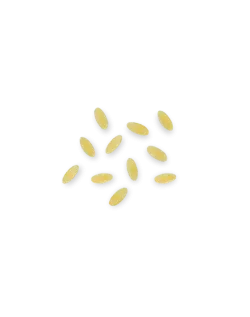 La Pasta di Camerino Puntine 500g thumbnail-3